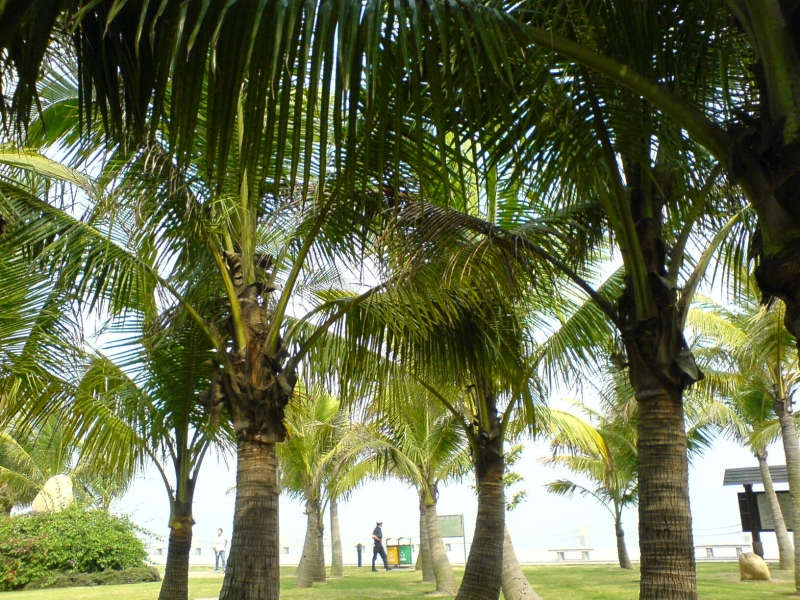 DSC00524.JPG