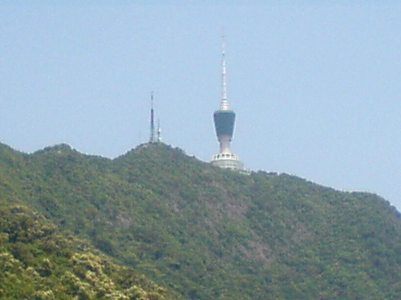 DSC01146.JPG