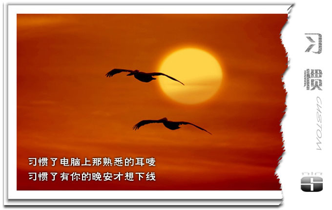 2e1b8950fffae36885352402.jpg