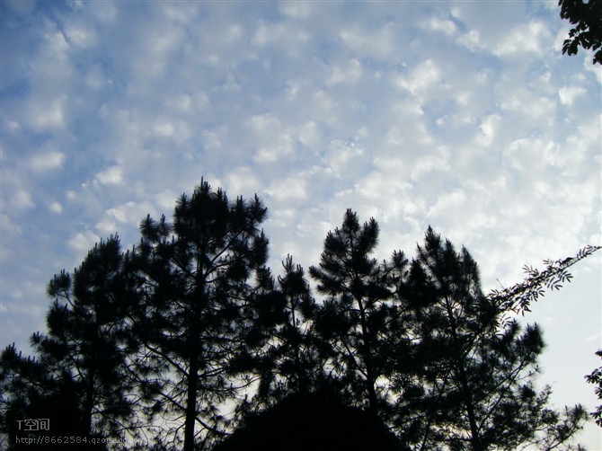 http_imgloadCANGUR9L454.jpg