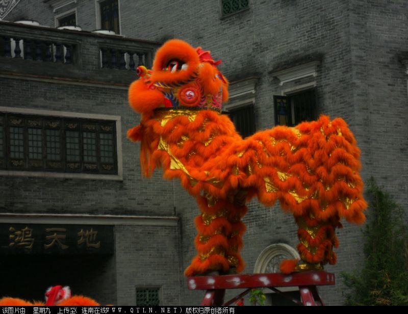 SDC14439.JPG