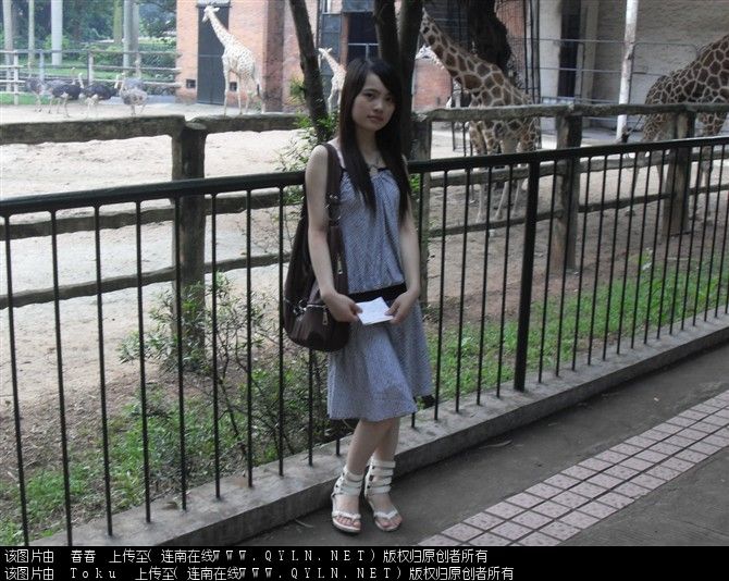 1750124t4aotdymie4nzeq.jpg