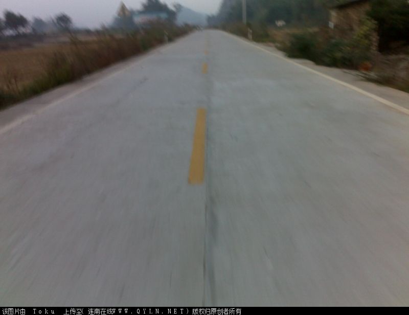 20101109073.jpg
