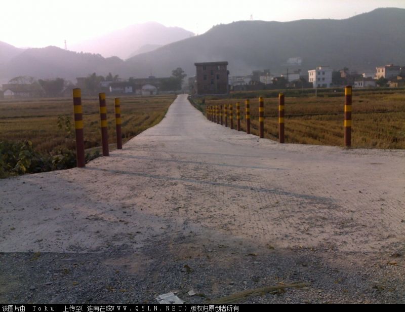 20101109039.jpg