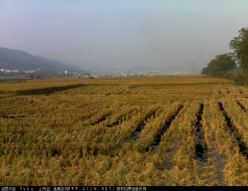 20101109040.jpg