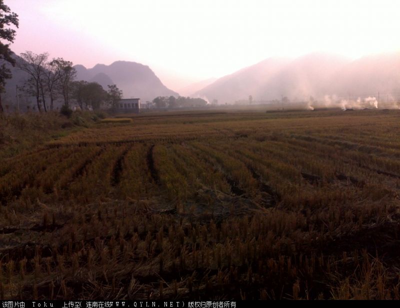 20101109041.jpg