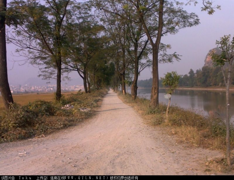 20101109042.jpg