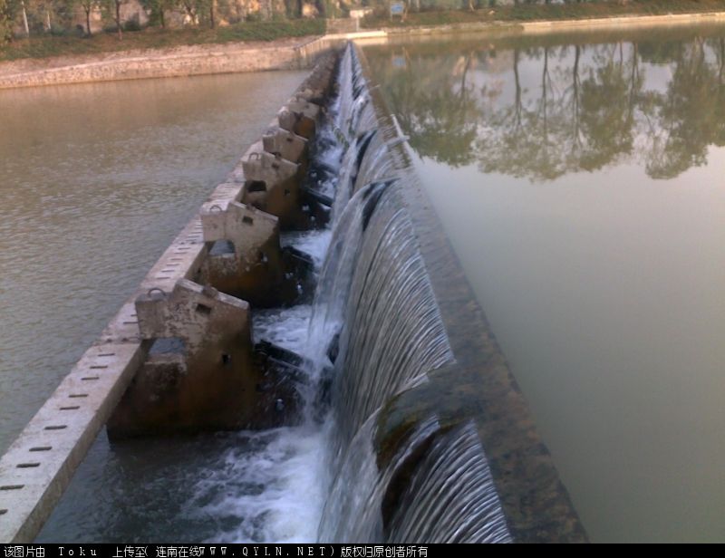 20101109046.jpg