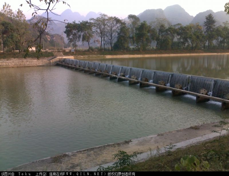 20101109050.jpg
