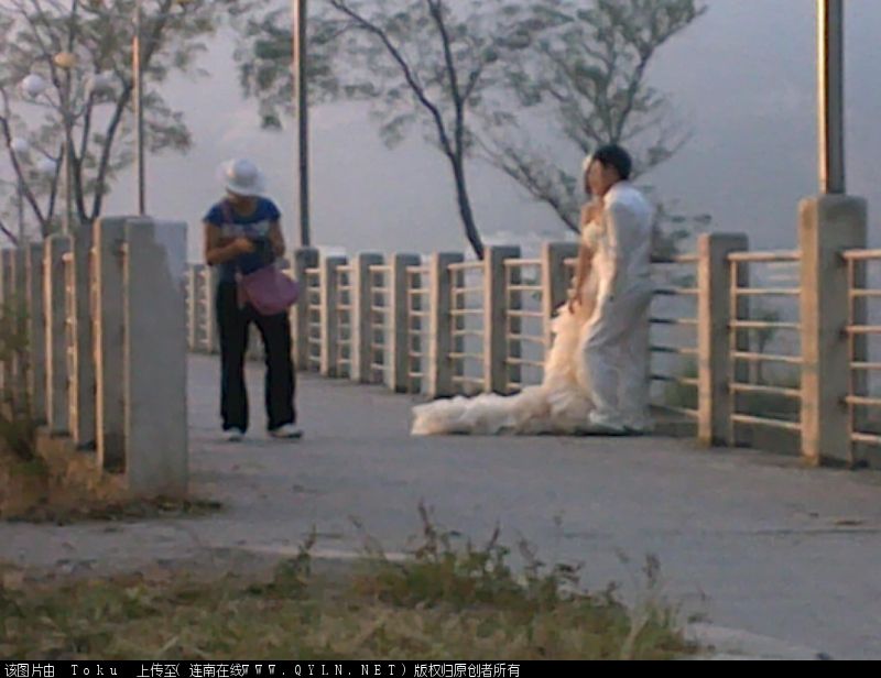 20101109055.jpg