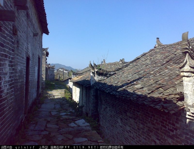 20081113122.jpg