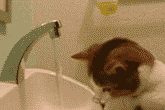 870d5844487d525f510ffebc.gif