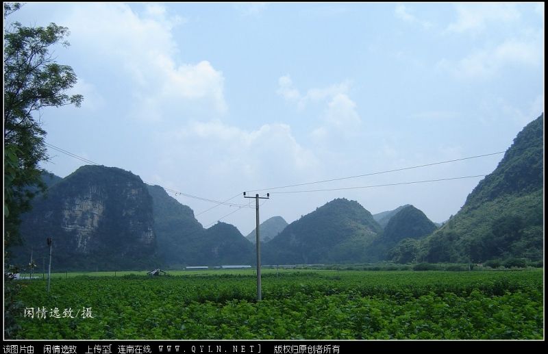 DSC08227.JPG