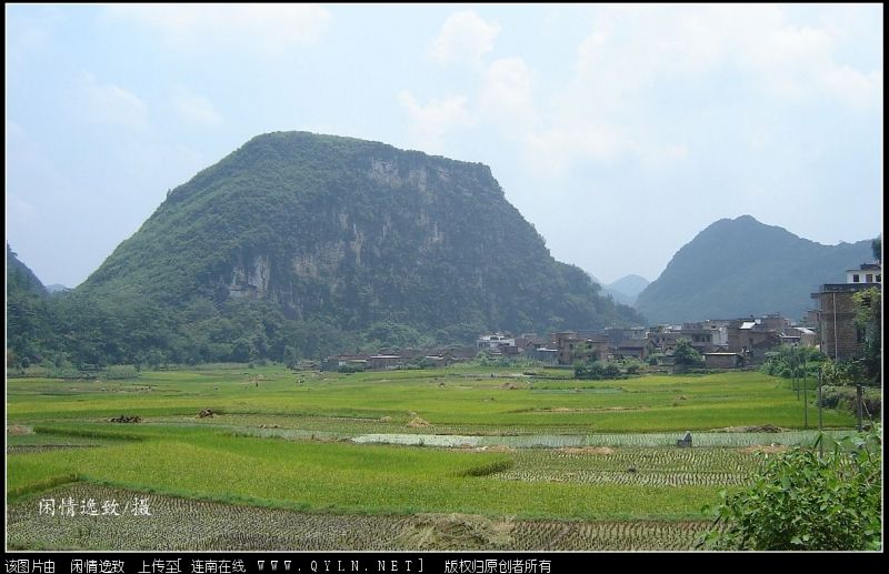 DSC08222.JPG