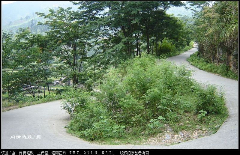 DSC08206.JPG