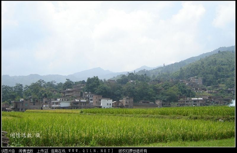 DSC08226.JPG
