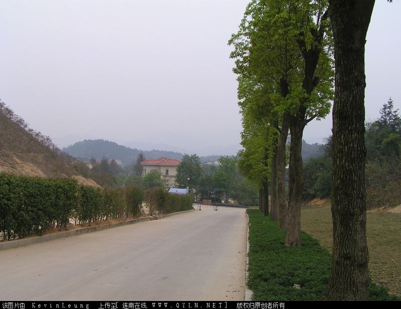 P4060849.JPG
