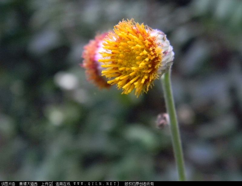 DSCN0773.JPG