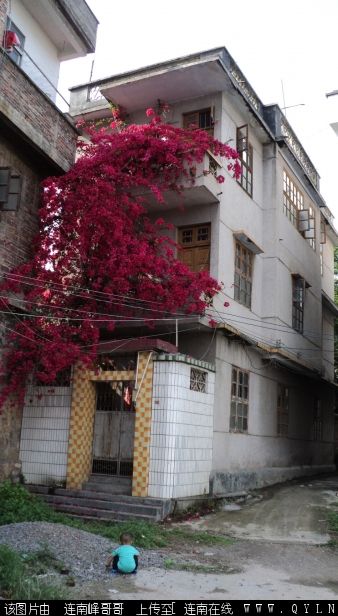 DSC00235.JPG