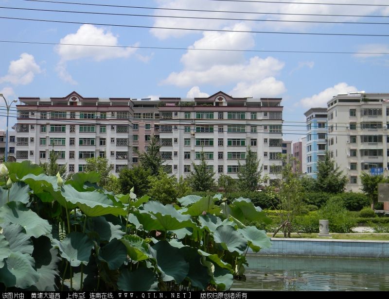 DSCN0045.JPG