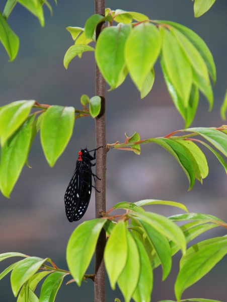 DSC_7711.jpg
