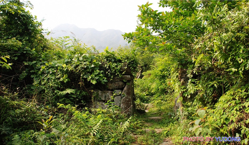 A03.jpg