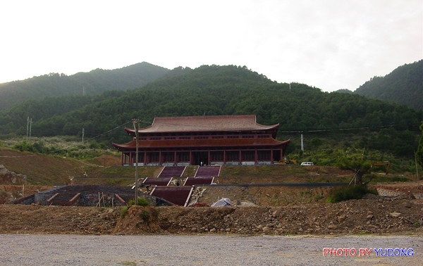 DSC01555.jpg