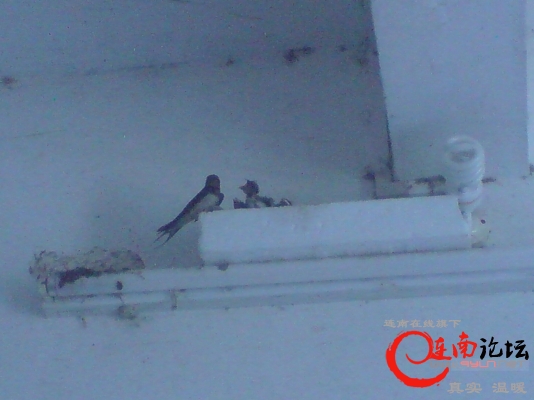 DSC00876.JPG