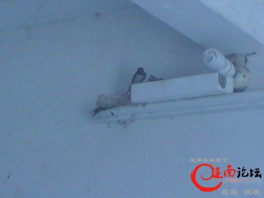 DSC00881.JPG