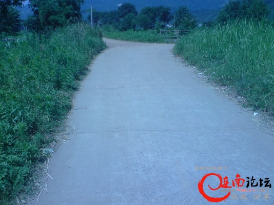 DSC00915.JPG