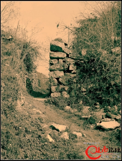 J12.jpg
