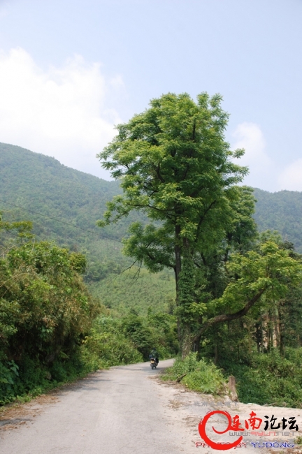 A08.jpg
