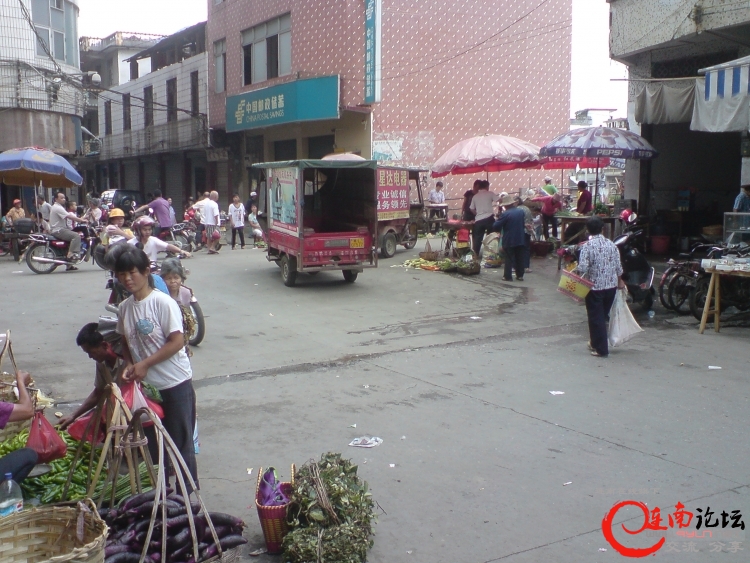 DSC01237.JPG