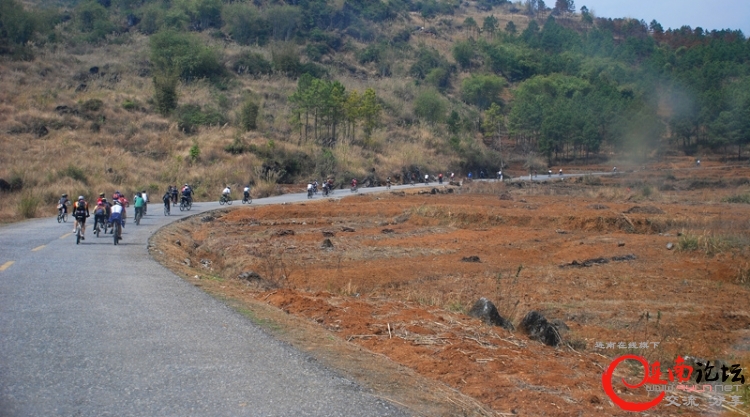 N19.jpg
