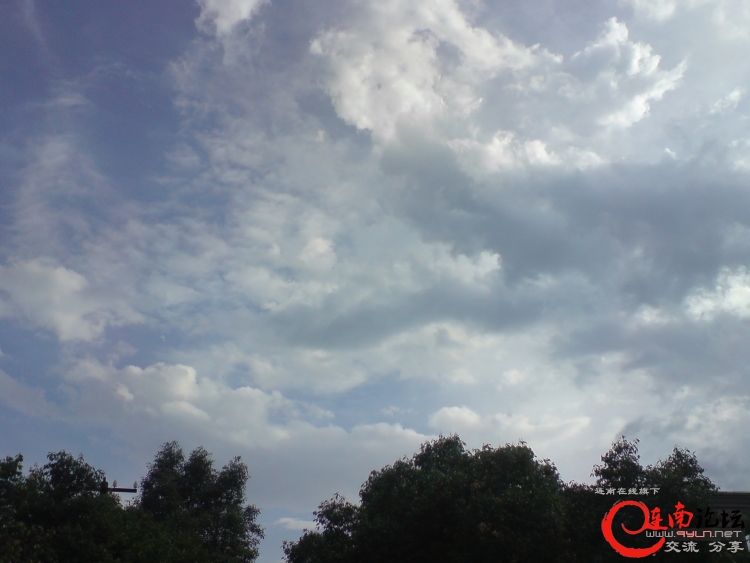 DSC01435.JPG
