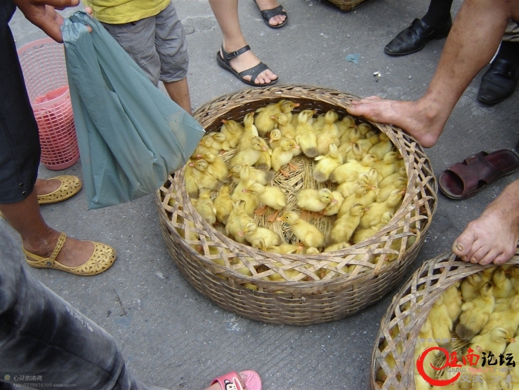DSC00058.jpg