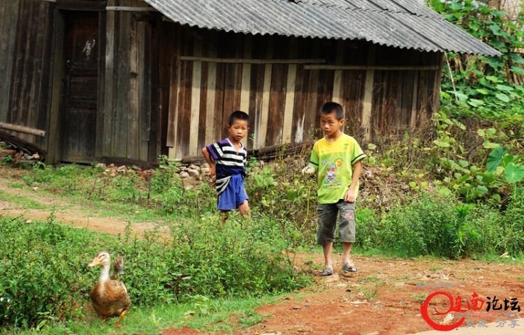 C05.jpg