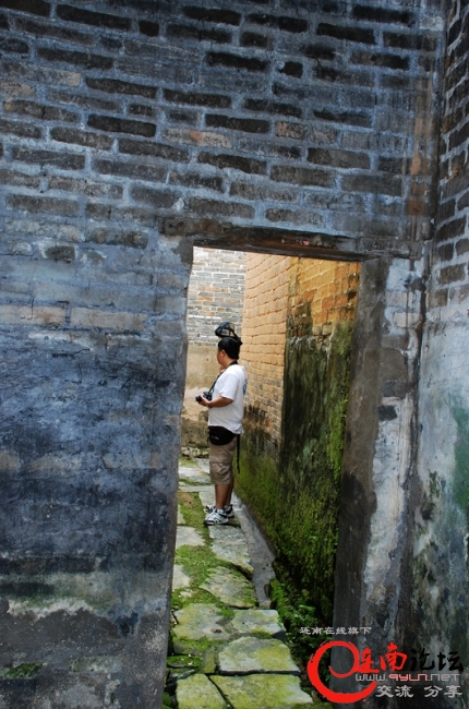 C16.jpg