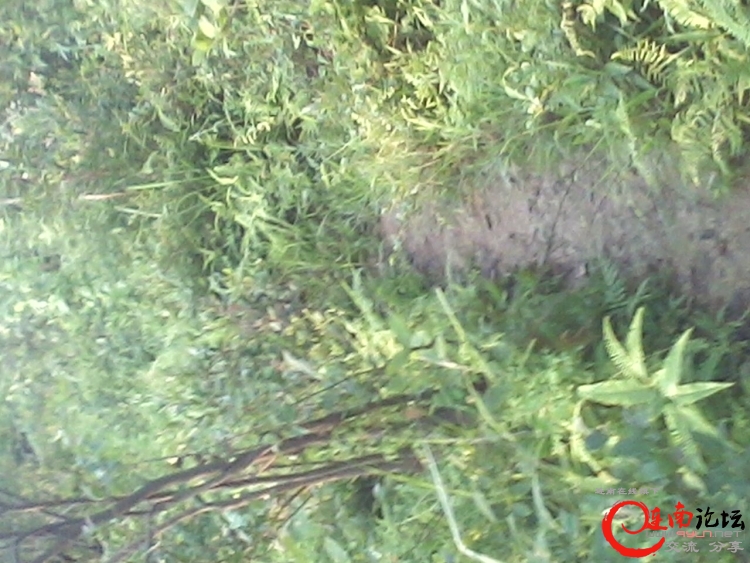 IMG0706064902.jpg
