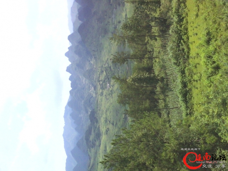 IMG0706140001.jpg