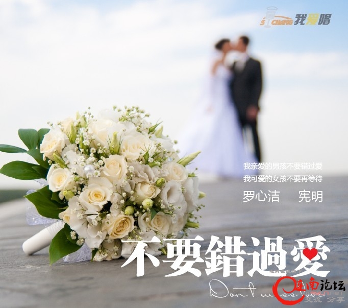 《不要错过爱》封面.jpg