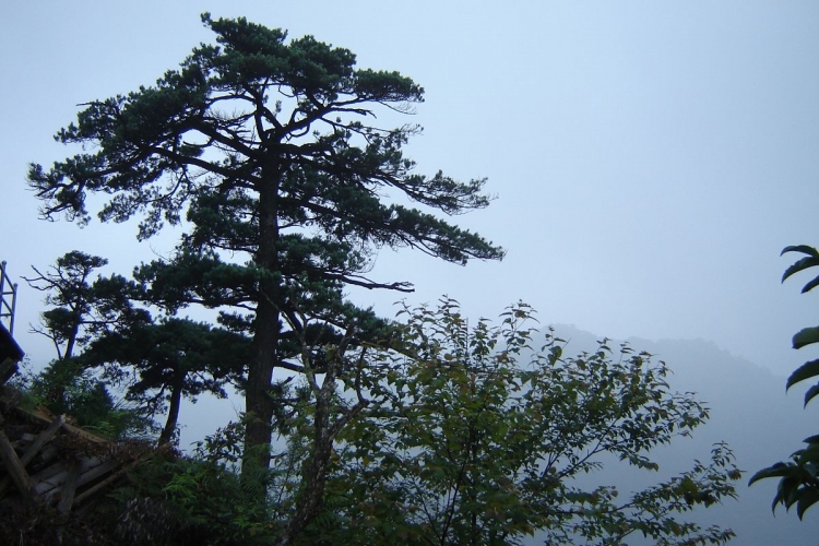 DSC00075.JPG