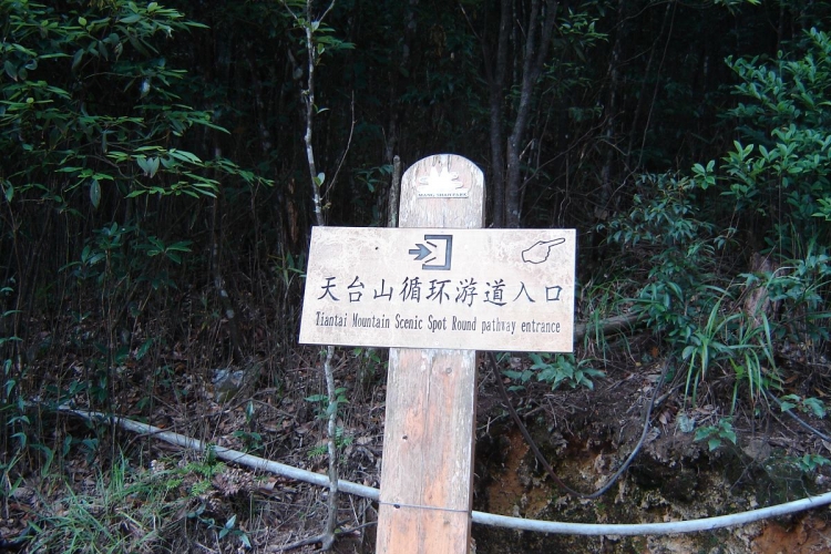 DSC00165.JPG