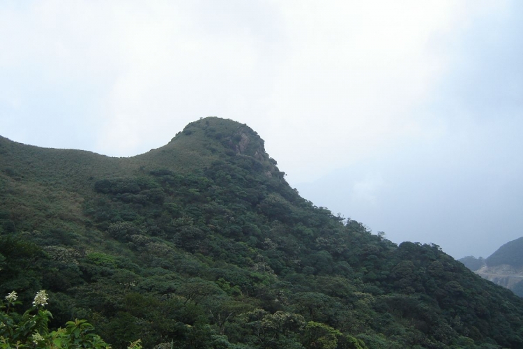 DSC00112.JPG