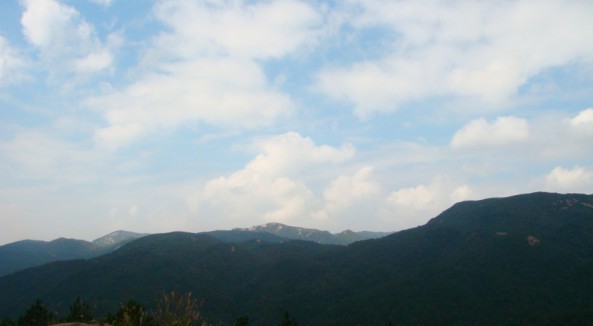 未命名1.jpg