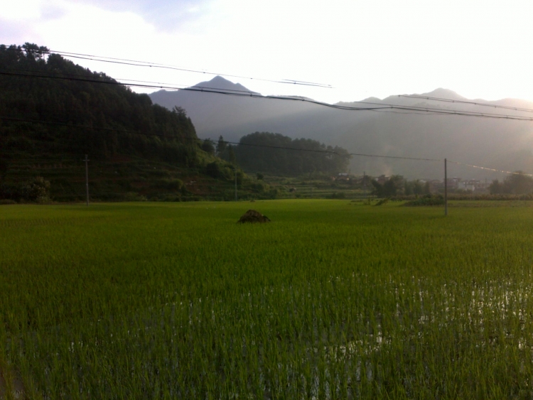 20110811030.jpg
