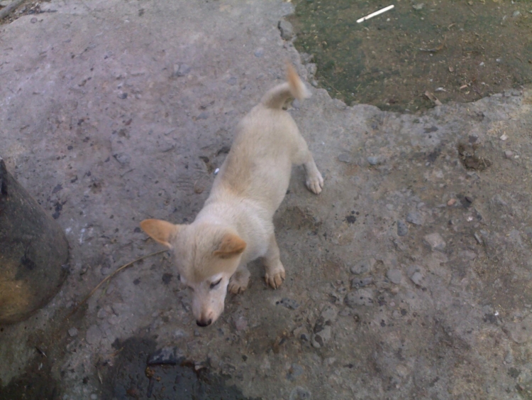 20110811033.jpg