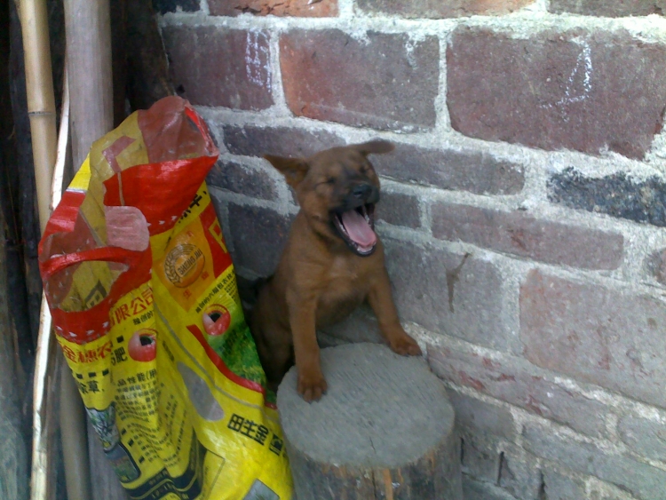 20110811036.jpg