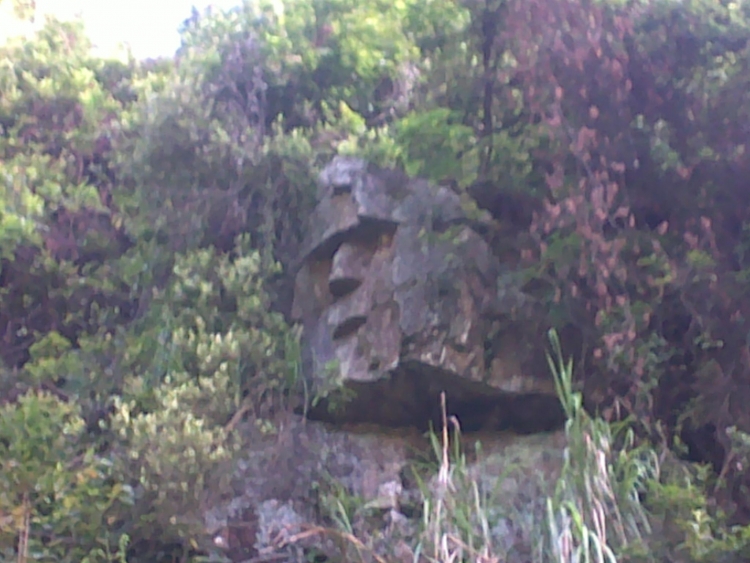 20110802180.jpg