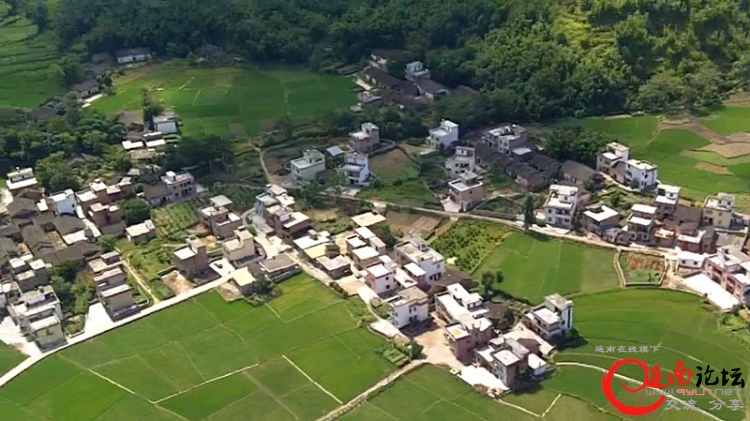 寨岗航拍